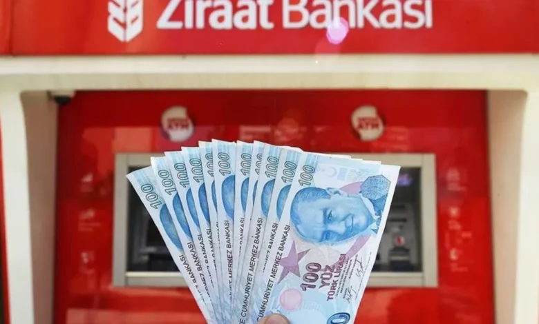 TC Kimlik Numarasına 100.000 TL Ödeme