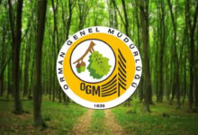 OGM Tarım ve Orman Bakanlığı Personel Arıyor