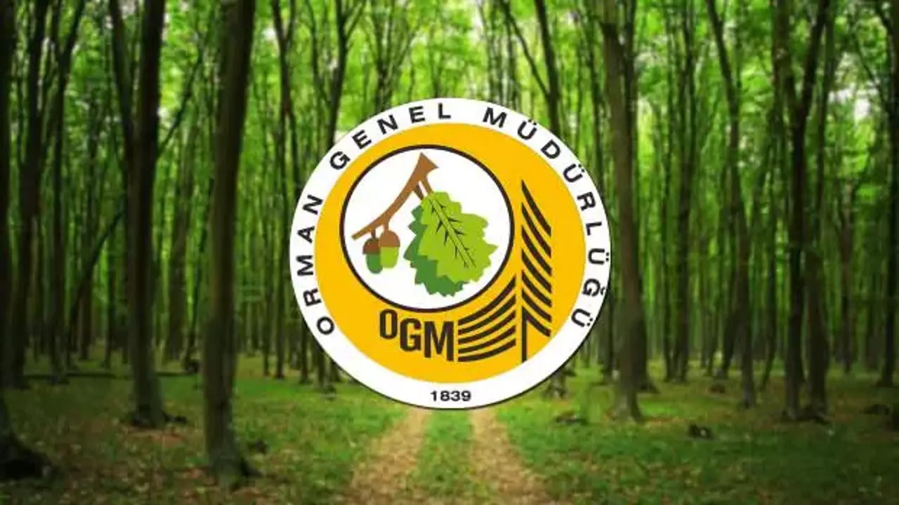 OGM Tarım ve Orman Bakanlığı Personel Arıyor