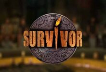 Survivor başvuru 2024