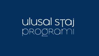 Ulusal Staj Programı