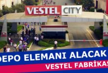 Vestel İş Başvurusu