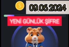 Hamster Kombat Günlük Şifre