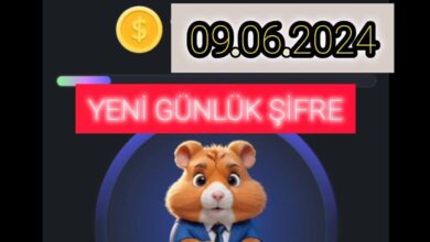 Hamster Kombat Günlük Şifre