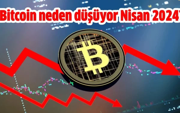 BTC Neden Düşüyor? Son Dakika 2024