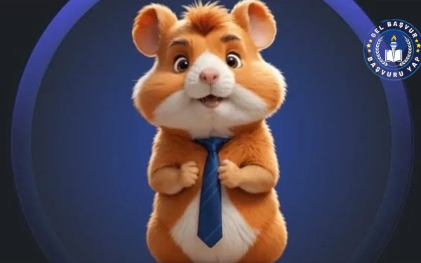 Hamster Kombat Combo Kart 13 Haziran Günlük Şifreleri