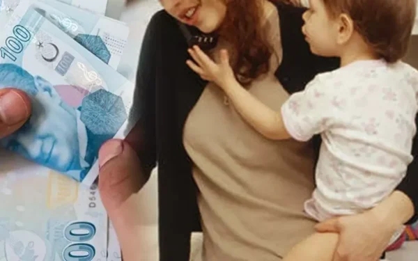 Ev Hanımlarına 4000 TL Destek: Başvuru Yap (Şartları) 2024